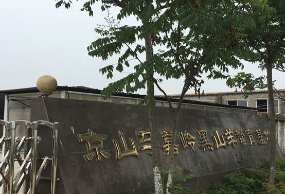 谈球吧体育app下载
