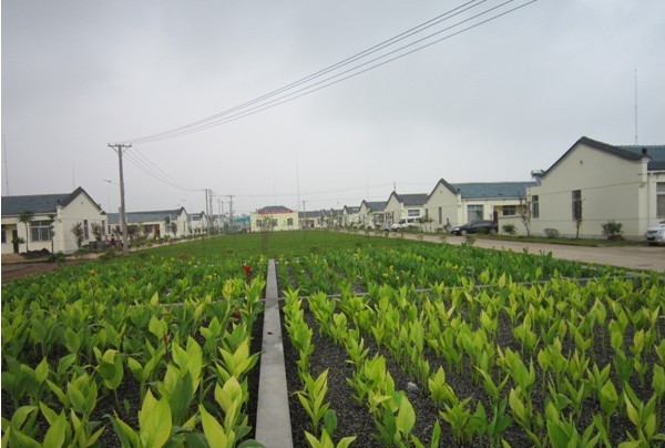 谈球吧体育app下载
