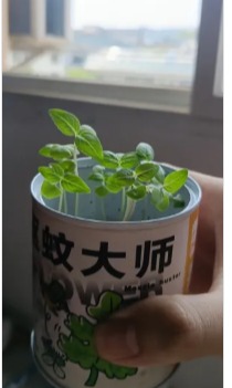 谈球吧体育app下载