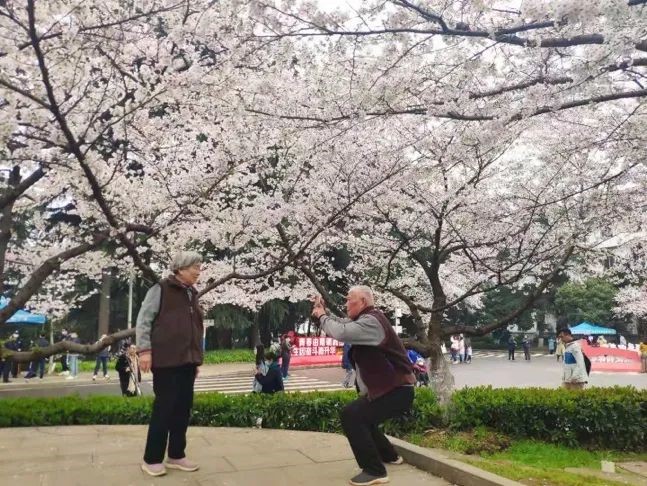 谈球吧体育app下载