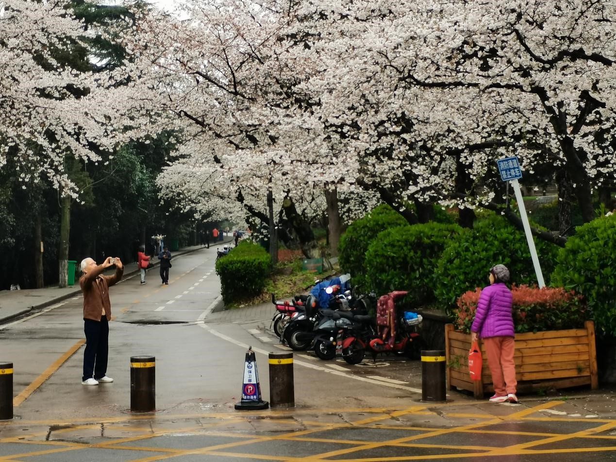 谈球吧体育app下载