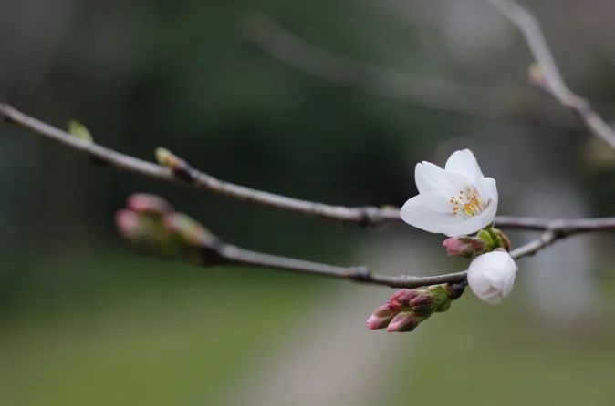 谈球吧体育app下载