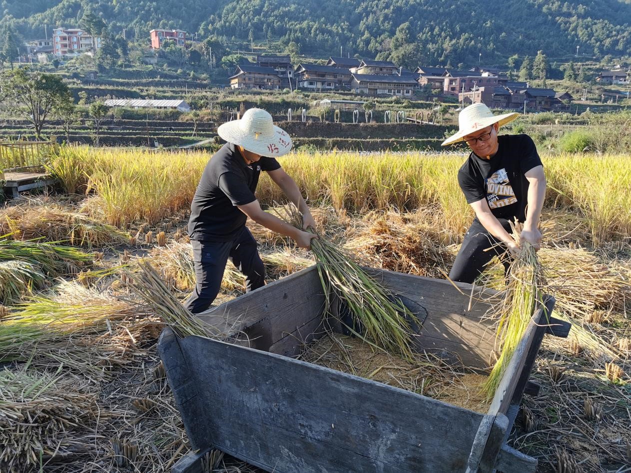 谈球吧体育app下载