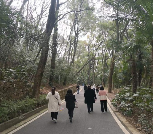 谈球吧体育app下载