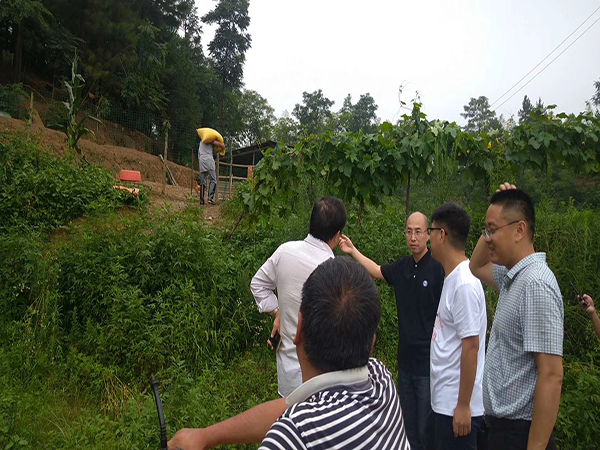 谈球吧体育app下载