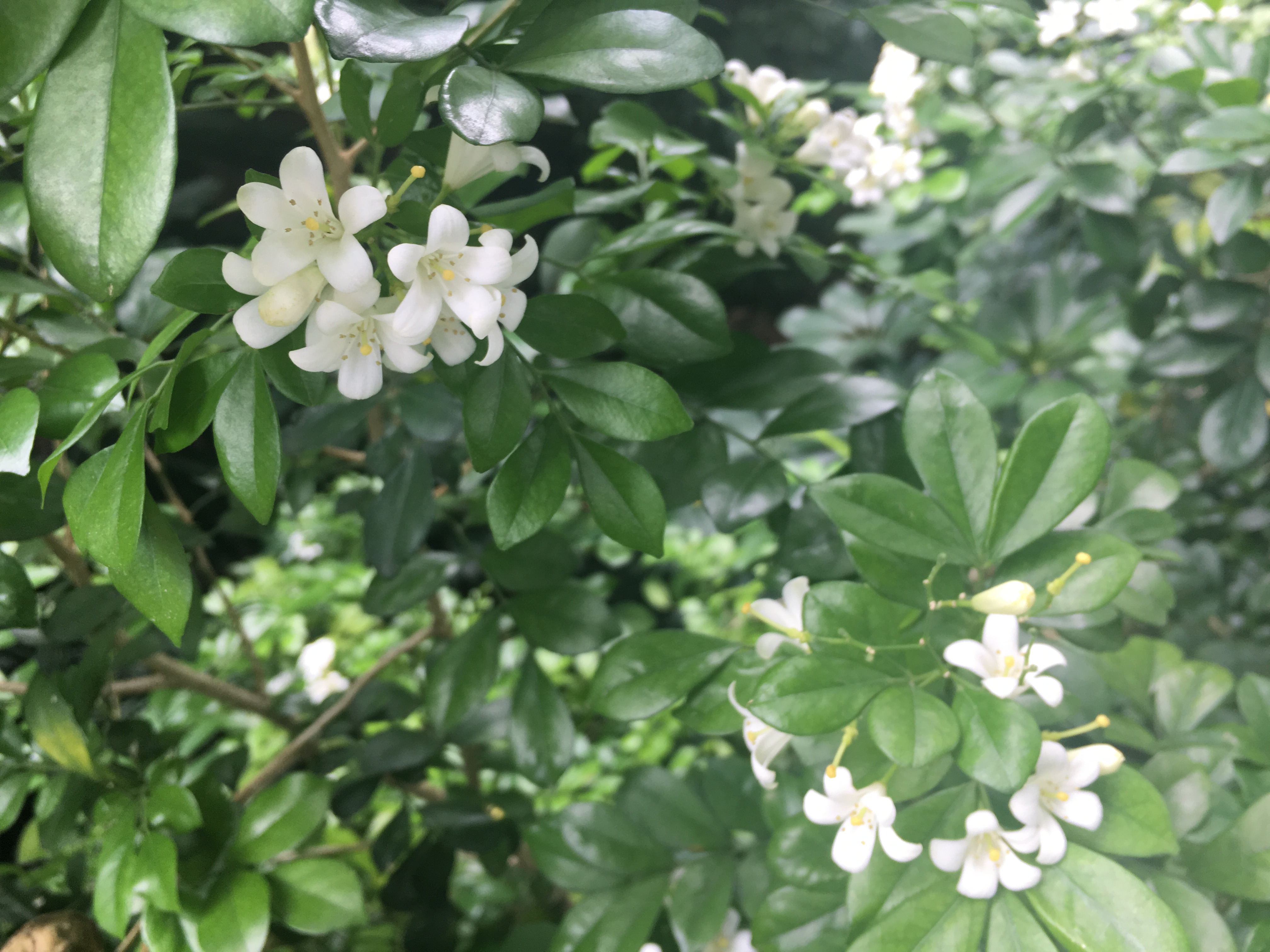 谈球吧体育app下载