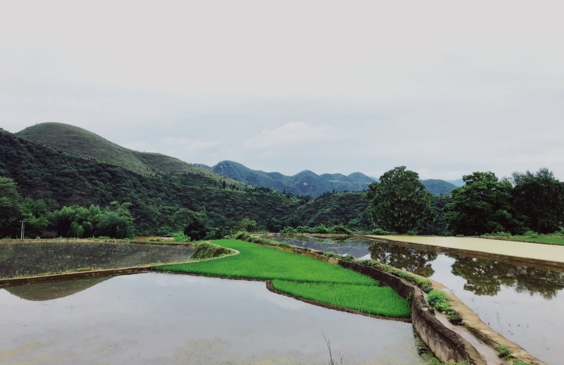 谈球吧体育app下载