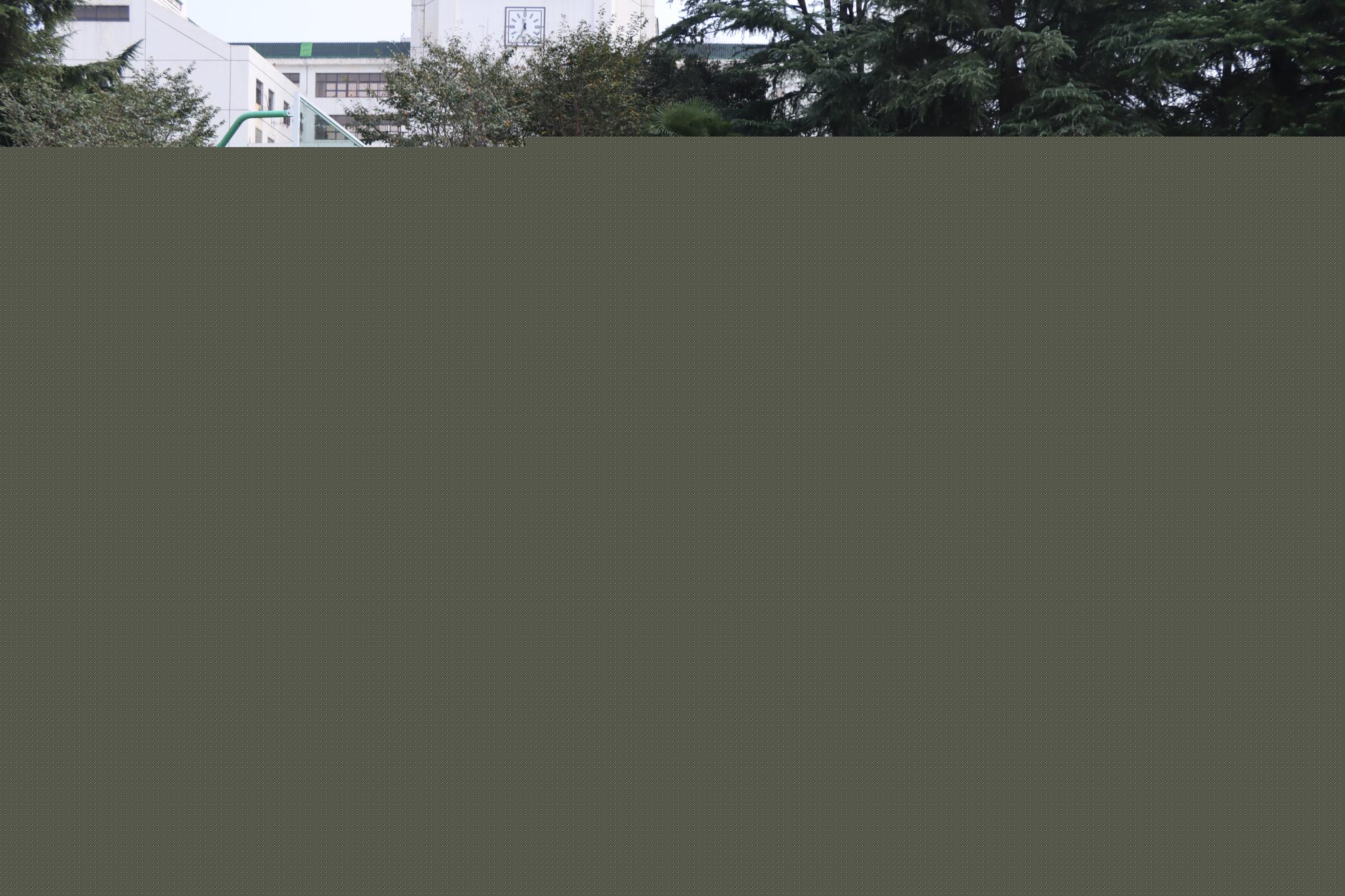谈球吧体育app下载